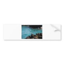 Gone Fishing Bumper Sticker