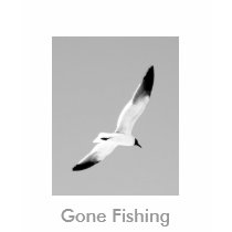 Gone Fishing tank top t-shirts