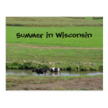 Gone Swimmin' Post Cards