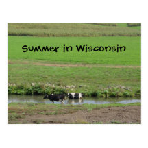 Gone Swimmin' Post Cards