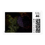 Gone Wild Postage