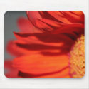 gone with the wind mousepads