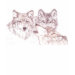 EDUN LIVE Genesis Unisex Standard Crew