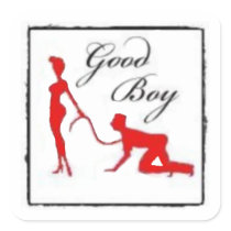 Good Boy Square Stickers