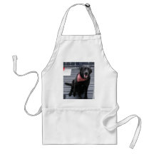 GOOD DOG APRONS
