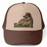 Good Dog Hat Good Dog Hat