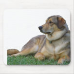 Good Dog Mouse Pad Good Dog Mouse Pad