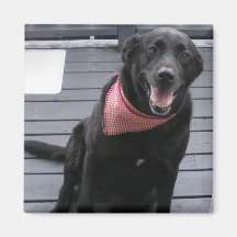 GOOD DOG REFRIGERATOR MAGNET