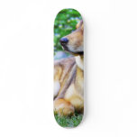 Good Dog Custom Skateboard