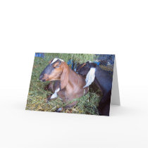 Good Friends cards by TominPok Good Friends cards