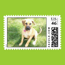 Good girl! postage stamps