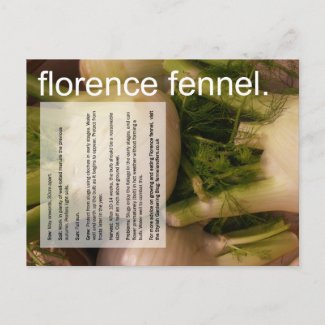 Good Growing Guide: Florence fennel & sprouts postcard