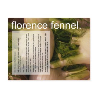 Good Growing Guide: Florence fennel & sprouts postcard