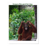 Good Hair Day posters