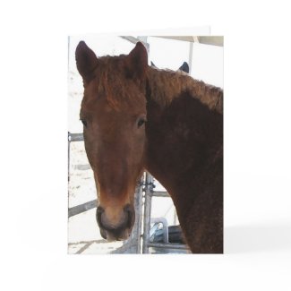 Good Horse Sense Graduation Card - Western zazzle_card