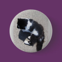 Good Kitten buttons