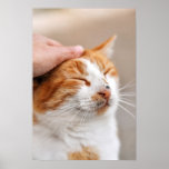 Good kitty! (Color version) Posters