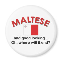 Good Looking Maltese magnets by worldshop Good Looking Maltese magnets