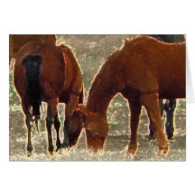 Good Lord's Remuda Herd Friends in Heaven Cards