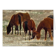 Good Lord's Remuda Herd in Heaven Sympathy Greeting Cards