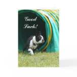Good Luck Agility Boston Terrier greeting card