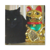 Good Luck Cats magnets