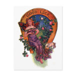 Good Luck Fairy &amp; Horseshoe Postcard