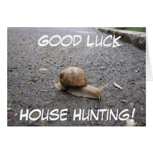 Good Luck House Hunting! Card Zazzle