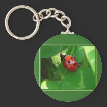Good Luck! keychains