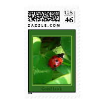 Good Luck postage by Rainmountain Good Luck postage