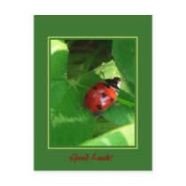 Good Luck! Postcards