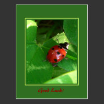 Good Luck! postcards