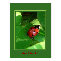 Good Luck! Postcards