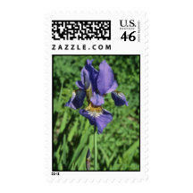 Good Measure Flag, (Iris) flowers Stamp