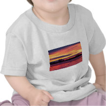 Good Morning Geese Tee Shirts