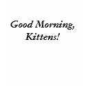 Good Morning, Kittens! t-shirts