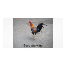 Good Morning Photo Cards