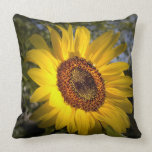 Good Morning Sunshine American MoJo Pillow