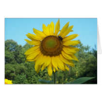 Good Morning Sunshine Card