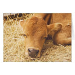 Good morning sunshine greeting card