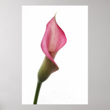 Good Night Angel Print