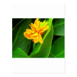 Good night !. post cards