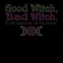 "Good Witch, Bad Witch..." Apparel t-shirts