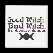 "Good Witch, Bad Witch..." Magnets magnets