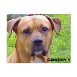 GOODAY POSTCARD