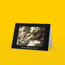 'Goodbye My Love' cards