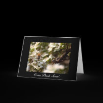 'Goodbye My Love' cards