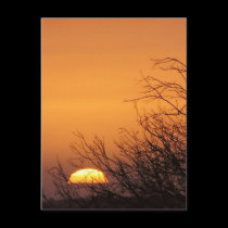 Goodbye to Another Day Sunset Postcard by webgrrl Goodbye to Another Day Sunset Postcard