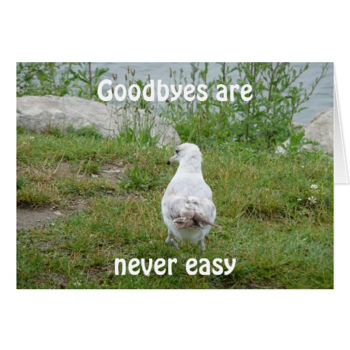 Goodbyes are never easy card Zazzle