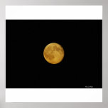 Goodnight Moon Posters